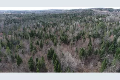 Lot 25 Smyrna Townline Road, Smyrna, ME 04780 - Photo 20