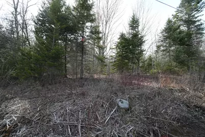 Lot 25 Smyrna Townline Road, Smyrna, ME 04780 - Photo 12