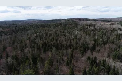 Lot 25 Smyrna Townline Road, Smyrna, ME 04780 - Photo 16