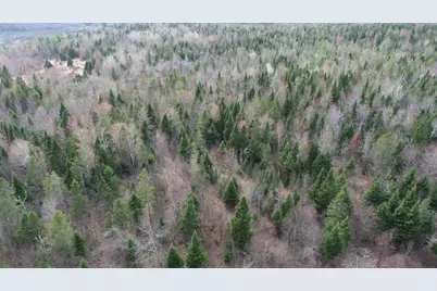 Lot 25 Smyrna Townline Road, Smyrna, ME 04780 - Photo 18