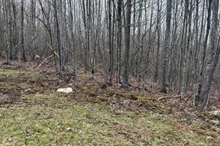 000 James Jipson Rd, Lowell, ME 04493 - Photo 52