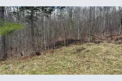 000 James Jipson Road, Lowell, ME 04493 - Photo 50