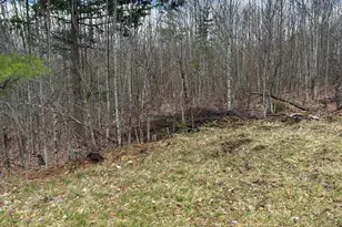 000 James Jipson Rd, Lowell, ME 04493 - Photo 50