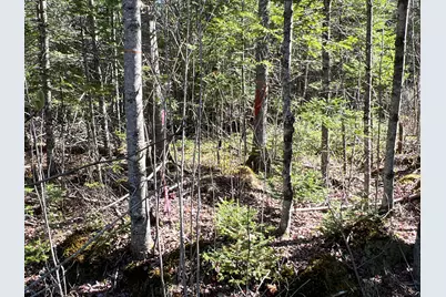 Lot 22 Schoodic Point Road, Medford, ME 04463 - Photo 10