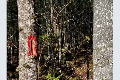 Lot 22 Schoodic Point Road, Medford, ME 04463 - Photo 6