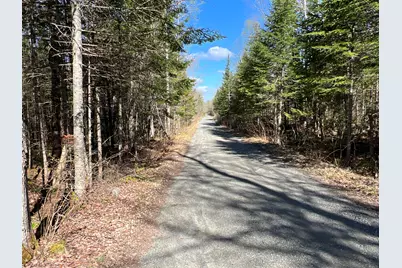 Lot 22 Schoodic Point Road, Medford, ME 04463 - Photo 8