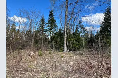 Lot 22 Schoodic Point Road, Medford, ME 04463 - Photo 16
