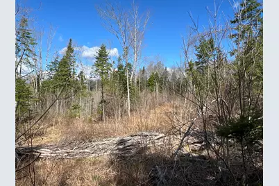 Lot 22 Schoodic Point Road, Medford, ME 04463 - Photo 20