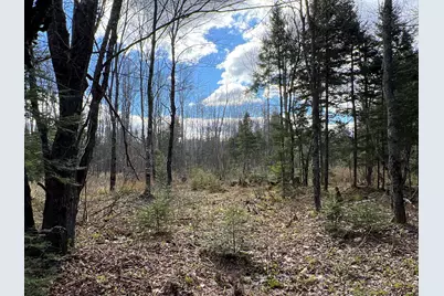 Lot 22 Schoodic Point Road, Medford, ME 04463 - Photo 26
