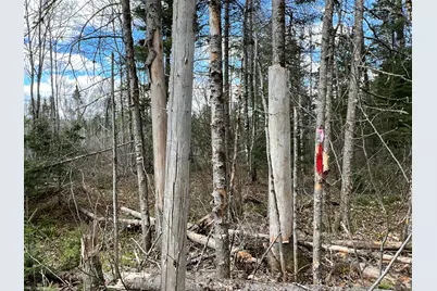 Lot 22 Schoodic Point Road, Medford, ME 04463 - Photo 22