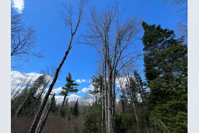 Lot 22 Schoodic Point Road, Medford, ME 04463 - Photo 24