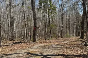 279 Carry Rdg Rd, Northfield, ME 04654 - Photo 8