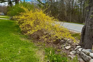 678 Mines Rd, Sedgwick, ME 04676 - Photo 6