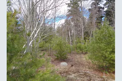 Lot 17 Bailey Mountain Road, Franklin, ME 04634 - Photo 8