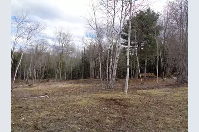 Lot 17 Bailey Mountain Road, Franklin, ME 04634 - Photo 10