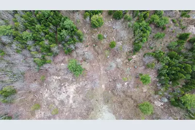 Lot 17 Bailey Mountain Road, Franklin, ME 04634 - Photo 4