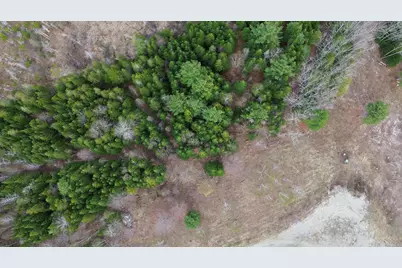 Lot 18 Bailey Mountain Road, Franklin, ME 04634 - Photo 4