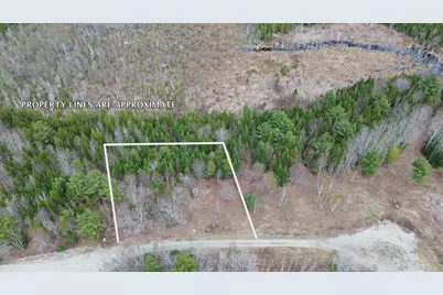Lot 19 Bailey Mountain Road, Franklin, ME 04634 - Photo 4