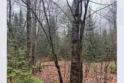 M6L18 Troy Road, Detroit, ME 04929 - Photo 10