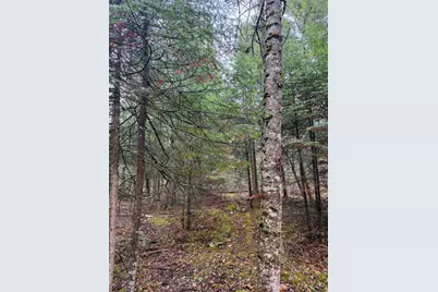 M6L18 Troy Road, Detroit, ME 04929 - Photo 14