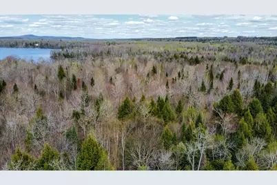 Lot 25 Woodland Ridge Road, Danforth, ME 04424 - Photo 2