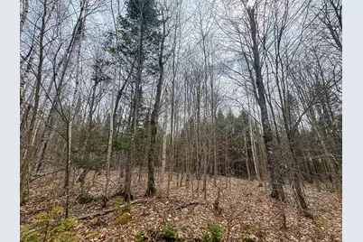Lot 25 Woodland Ridge Road, Danforth, ME 04424 - Photo 6