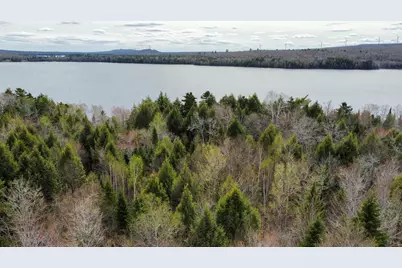 Lot 25 Woodland Ridge Road, Danforth, ME 04424 - Photo 4
