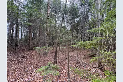 Lot 25 Woodland Ridge Road, Danforth, ME 04424 - Photo 10