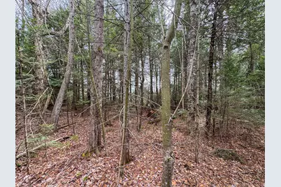 Lot 25 Woodland Ridge Road, Danforth, ME 04424 - Photo 12