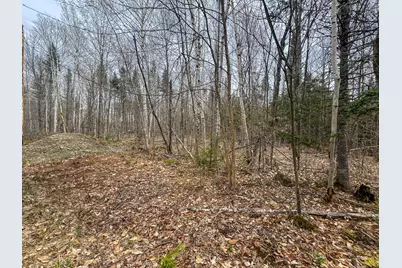 Lot 25 Woodland Ridge Road, Danforth, ME 04424 - Photo 8