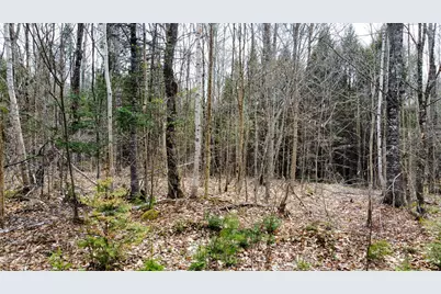 Lot 25 Woodland Ridge Road, Danforth, ME 04424 - Photo 18