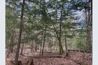 Lot # 8F-3 Lord Road, Buxton, ME 04093 - Photo 12