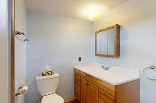 28 North St, Mechanic Falls, ME 04256 - Photo 16