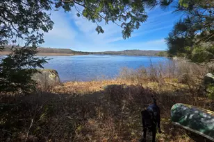 146 Thoroughfare Rd, Island Falls, ME 04747 - Photo 2