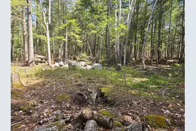 146 Thoroughfare Road, Island Falls, ME 04747 - Photo 14