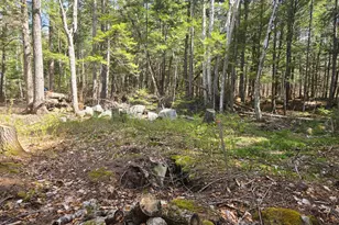146 Thoroughfare Rd, Island Falls, ME 04747 - Photo 14