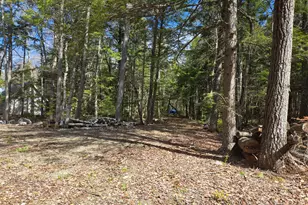 146 Thoroughfare Rd, Island Falls, ME 04747 - Photo 16