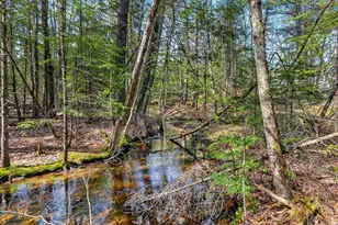159 Henry Hill Rd, Buxton, ME 04093 - Photo 64