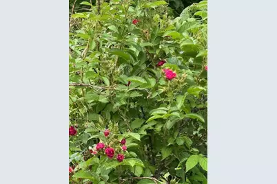 45 Freedom Road, Belgrade, ME 04917 - Photo 74