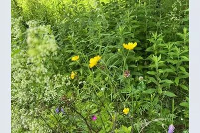 45 Freedom Road, Belgrade, ME 04917 - Photo 78