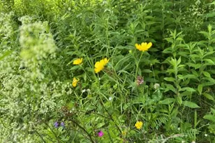 45 Freedom Rd, Belgrade, ME 04917 - Photo 78