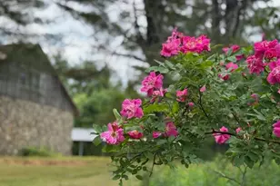 45 Freedom Rd, Belgrade, ME 04917 - Photo 70