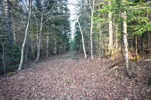 537 Dallas Hill Rd, Dallas Plt, ME 04970 - Photo 24