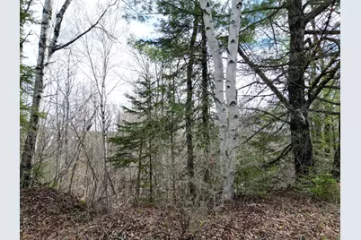 Lot 46H Merriman Road, Island Falls, ME 04747 - Photo 6