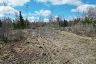 Lot 46I-2 Merriman Rd, Island Falls, ME 04747 - Photo 1