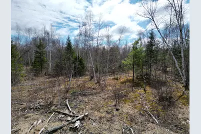 Lot 46I-2 Merriman Road, Island Falls, ME 04747 - Photo 10