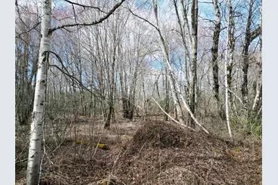 Lot 46I-2 Merriman Road, Island Falls, ME 04747 - Photo 6