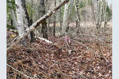 Lot 46I-2 Merriman Road, Island Falls, ME 04747 - Photo 4