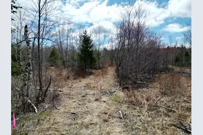 Lot 46I-2 Merriman Road, Island Falls, ME 04747 - Photo 12