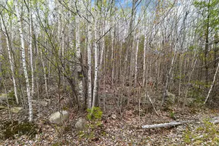 Lot #5 Murdock Pl, Belgrade, ME 04917 - Photo 1